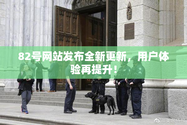 82号网站发布全新更新，用户体验再提升！