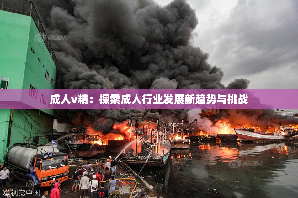 成人v精：探索成人行业发展新趋势与挑战