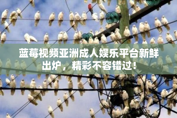 蓝莓视频亚洲成人娱乐平台新鲜出炉，精彩不容错过！