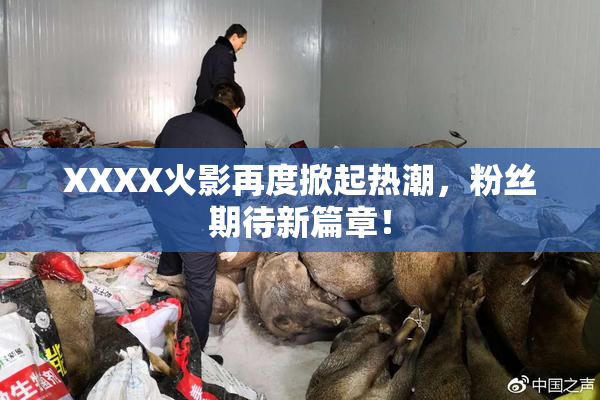XXXX火影再度掀起热潮，粉丝期待新篇章！