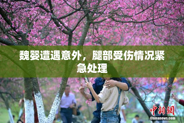 魏婴遭遇意外，腿部受伤情况紧急处理