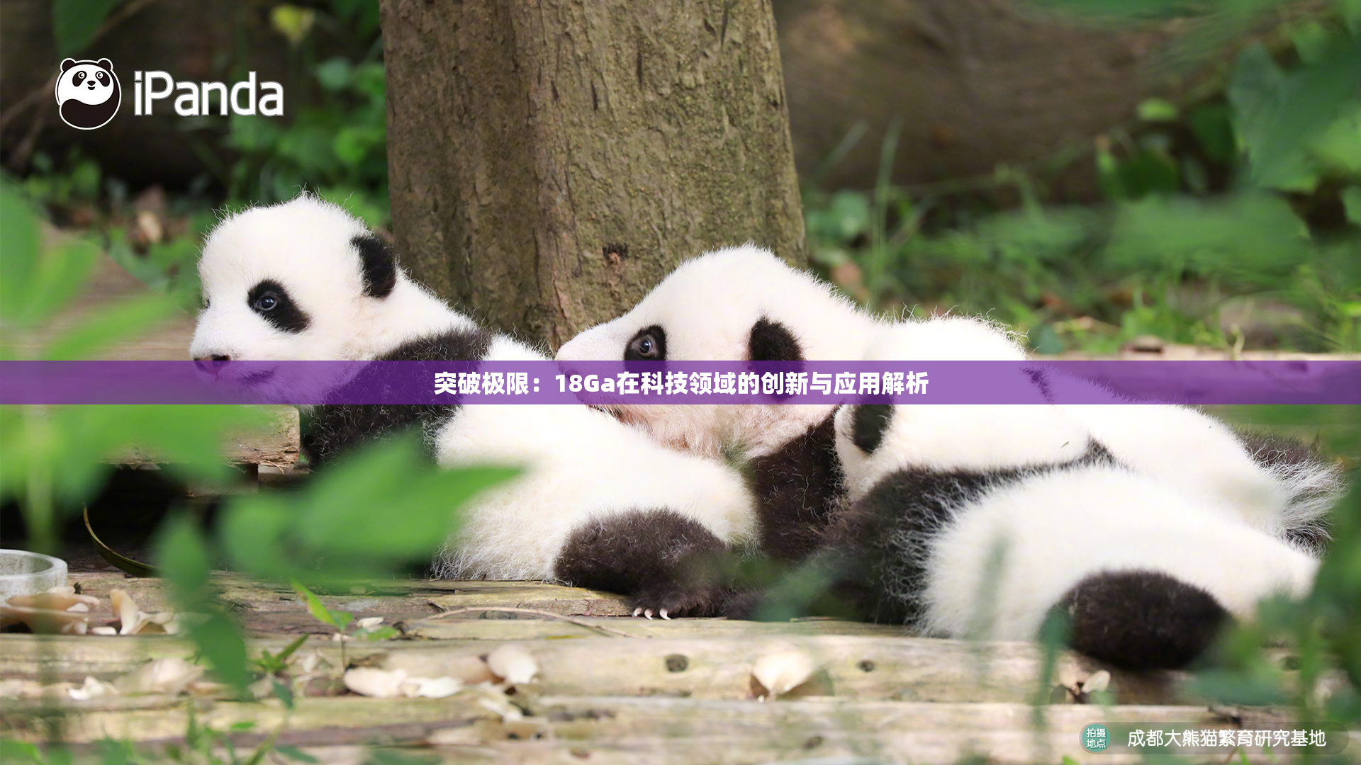 突破极限：18Ga在科技领域的创新与应用解析