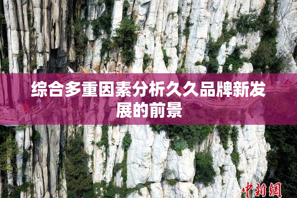 综合多重因素分析久久品牌新发展的前景
