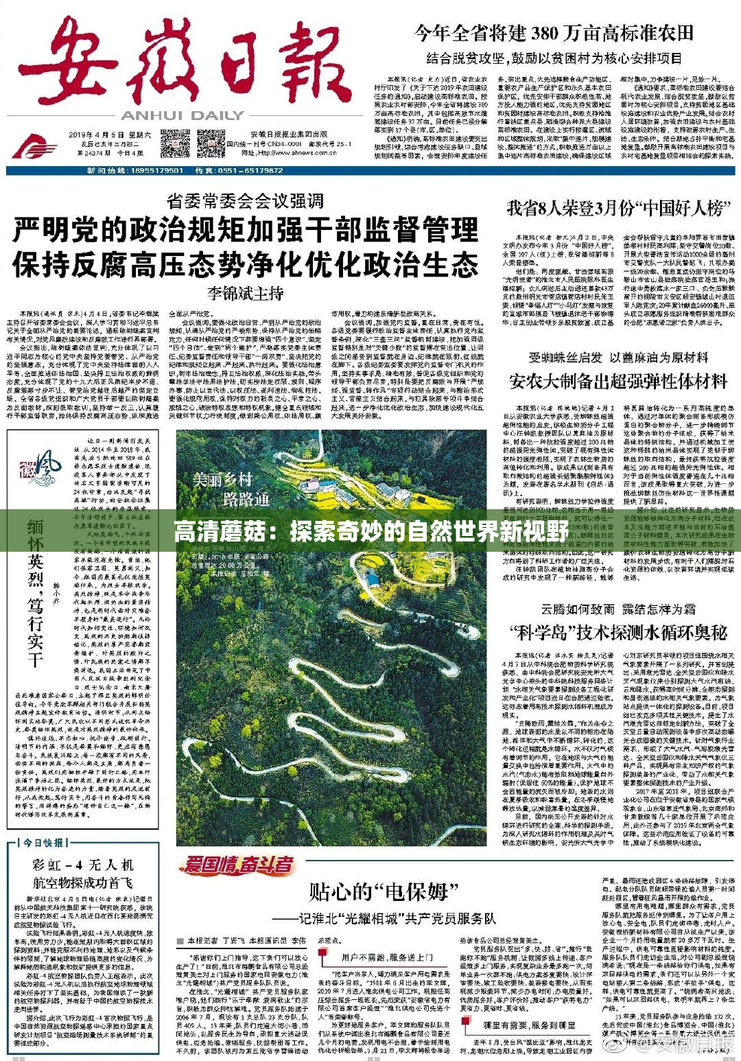 高清蘑菇：探索奇妙的自然世界新视野