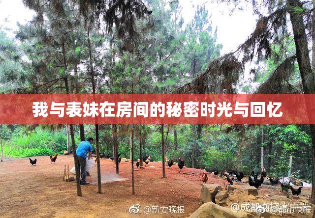 我与表妹在房间的秘密时光与回忆