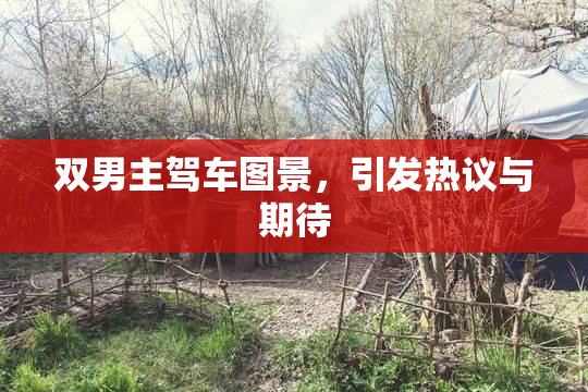 双男主驾车图景，引发热议与期待