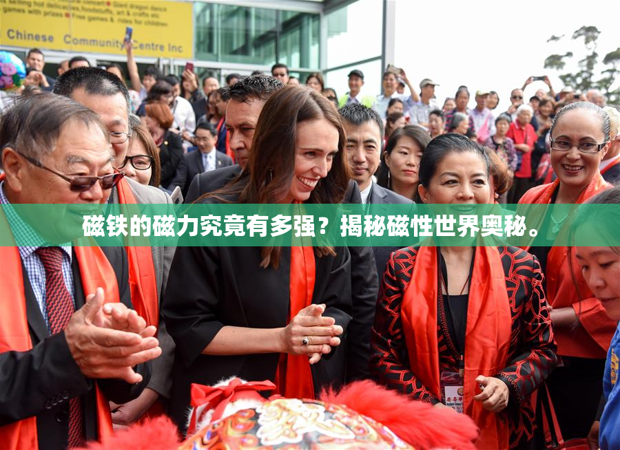 磁铁的磁力究竟有多强？揭秘磁性世界奥秘。