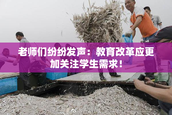 老师们纷纷发声：教育改革应更加关注学生需求！