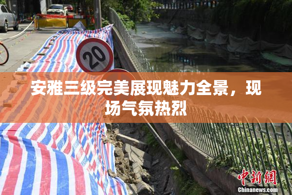 安雅三级完美展现魅力全景，现场气氛热烈