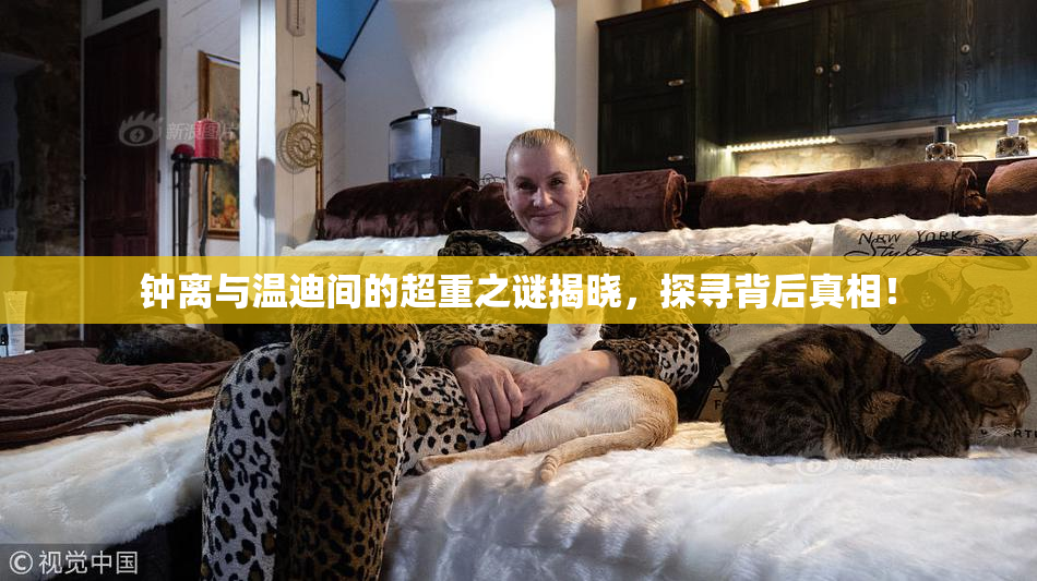 钟离与温迪间的超重之谜揭晓，探寻背后真相！