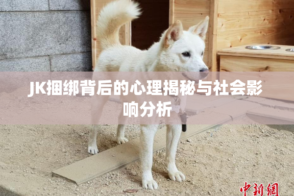 JK捆绑背后的心理揭秘与社会影响分析
