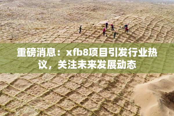 重磅消息：xfb8项目引发行业热议，关注未来发展动态
