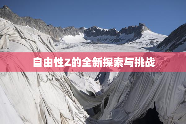 自由性Z的全新探索与挑战