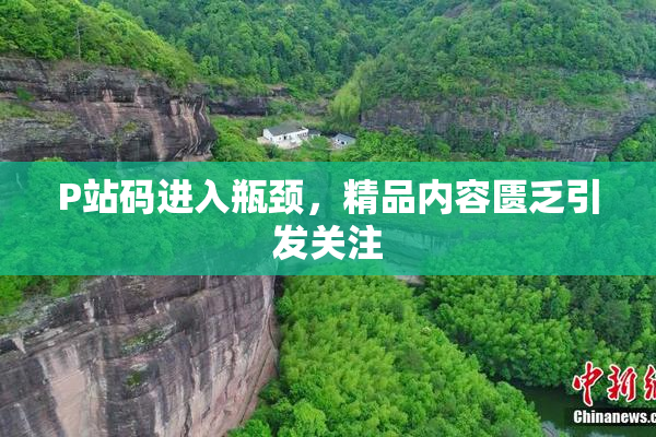 P站码进入瓶颈，精品内容匮乏引发关注