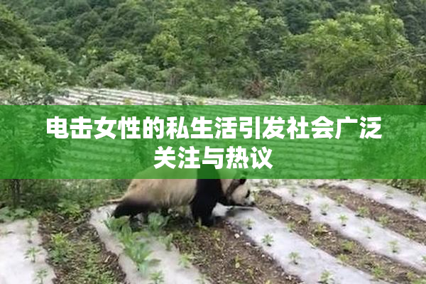 电击女性的私生活引发社会广泛关注与热议