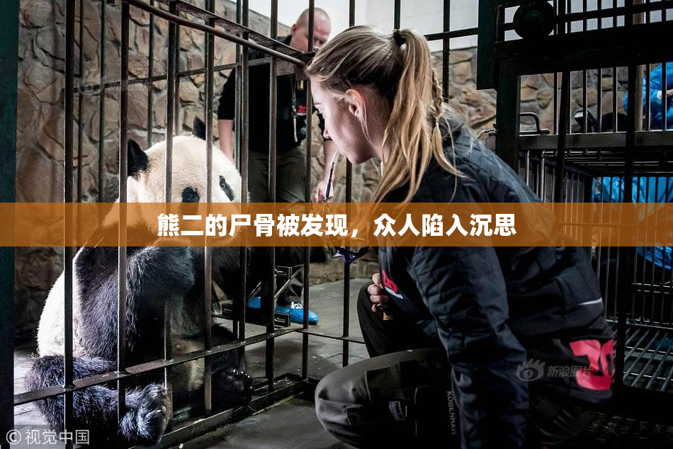 熊二的尸骨被发现，众人陷入沉思