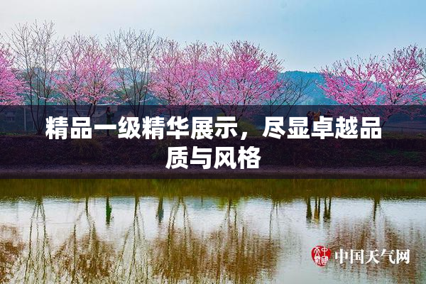 精品一级精华展示，尽显卓越品质与风格