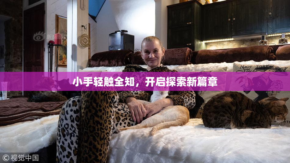 小手轻触全知，开启探索新篇章
