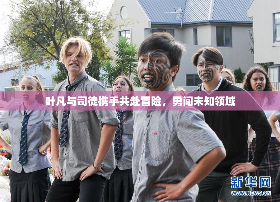 叶凡与司徒携手共赴冒险，勇闯未知领域