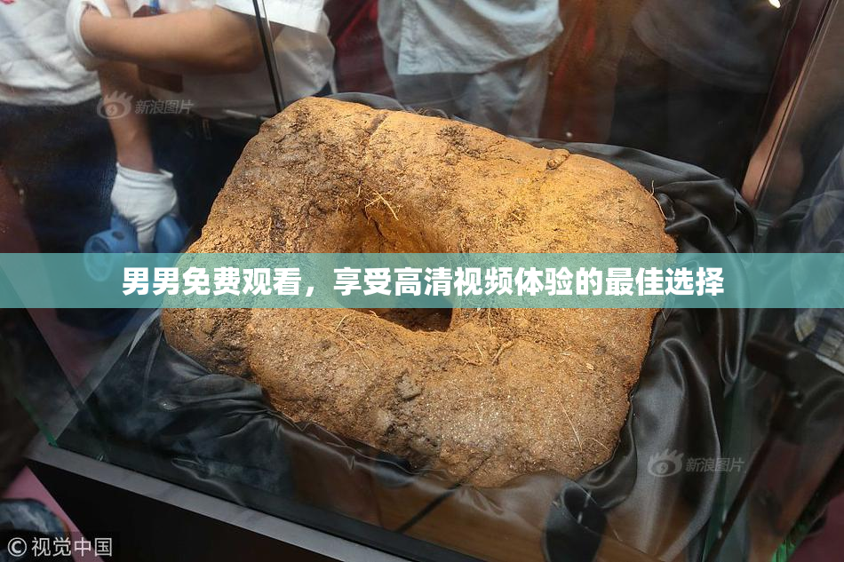 男男免费观看，享受高清视频体验的最佳选择