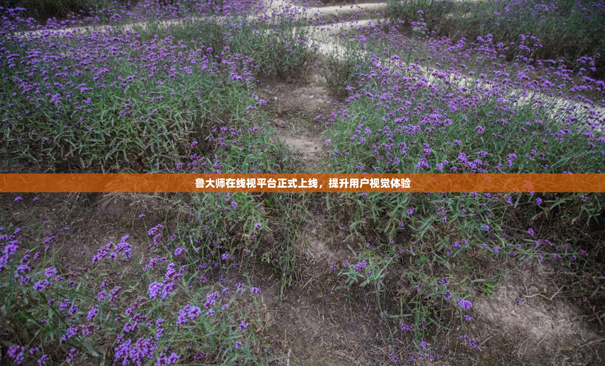 鲁大师在线视平台正式上线，提升用户视觉体验