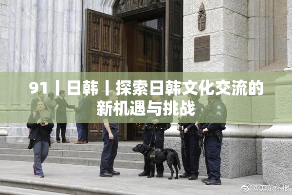 91丨日韩丨探索日韩文化交流的新机遇与挑战
