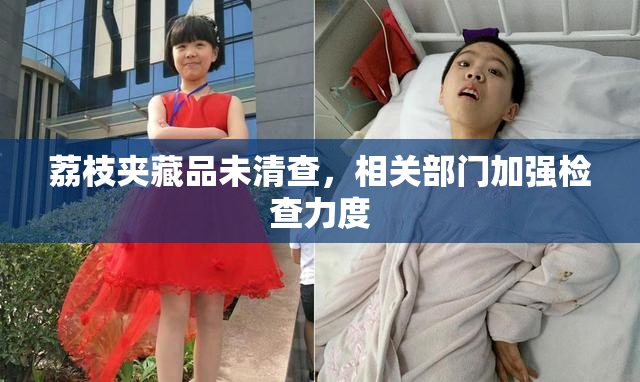 荔枝夹藏品未清查，相关部门加强检查力度