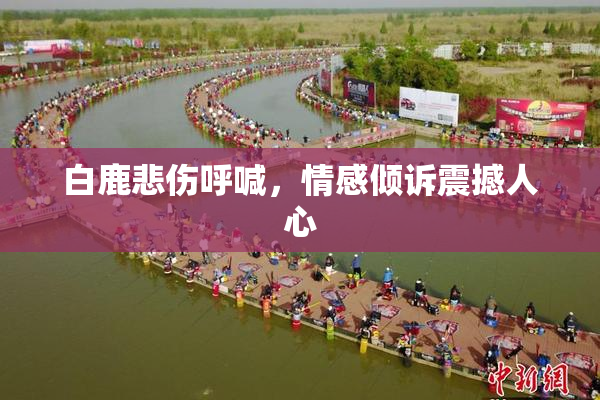 白鹿悲伤呼喊，情感倾诉震撼人心
