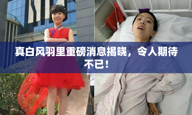 真白风羽里重磅消息揭晓，令人期待不已！