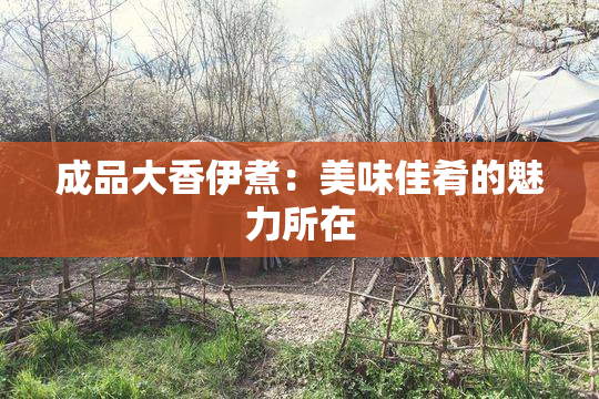成品大香伊煮：美味佳肴的魅力所在