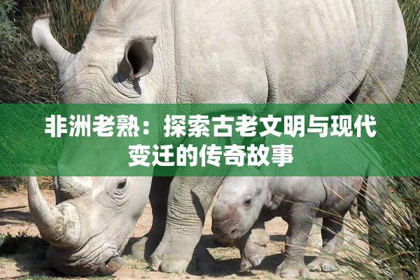 非洲老熟：探索古老文明与现代变迁的传奇故事