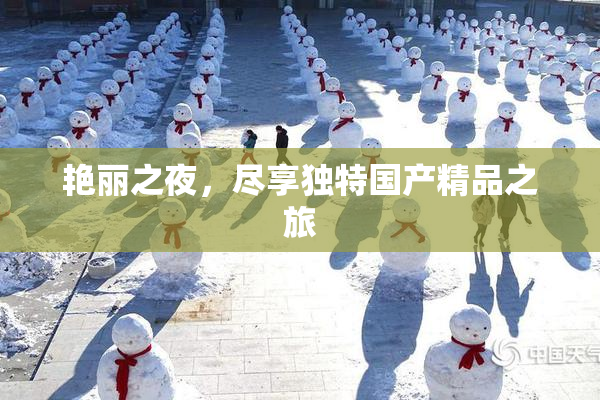 艳丽之夜，尽享独特国产精品之旅