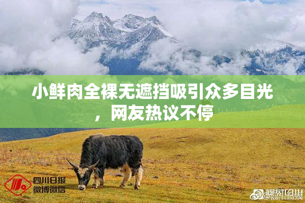 小鲜肉全裸无遮挡吸引众多目光，网友热议不停