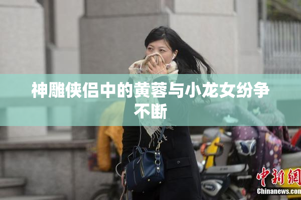 神雕侠侣中的黄蓉与小龙女纷争不断