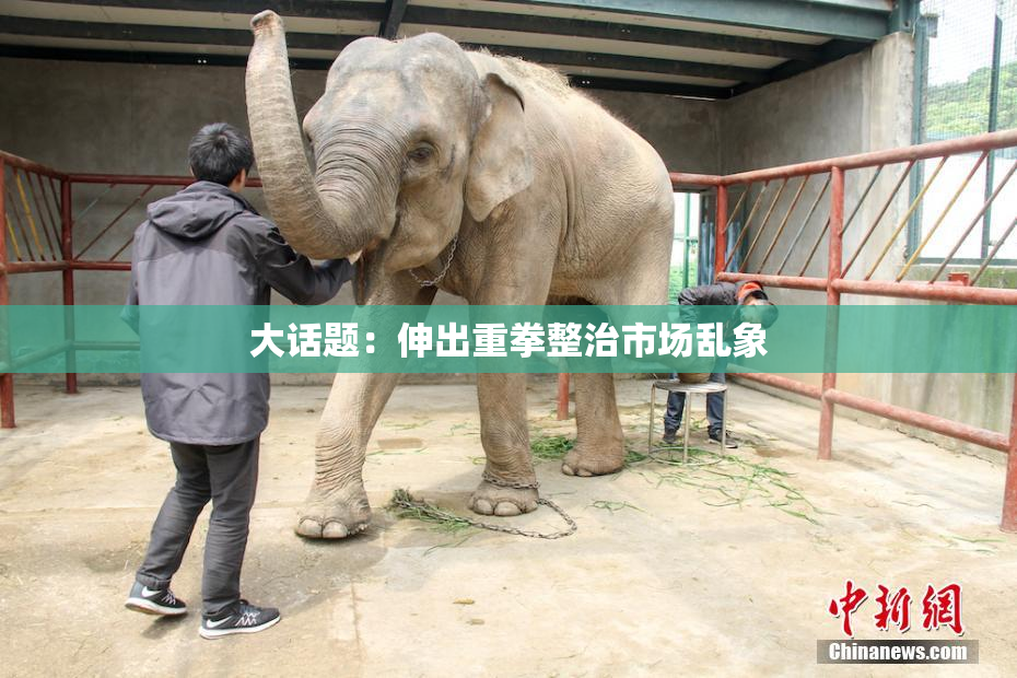 大话题：伸出重拳整治市场乱象