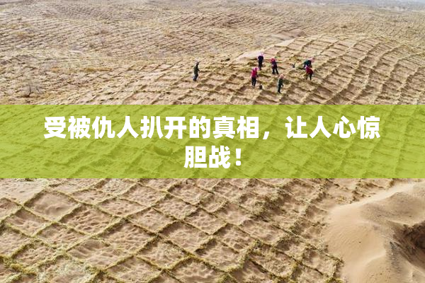 受被仇人扒开的真相，让人心惊胆战！