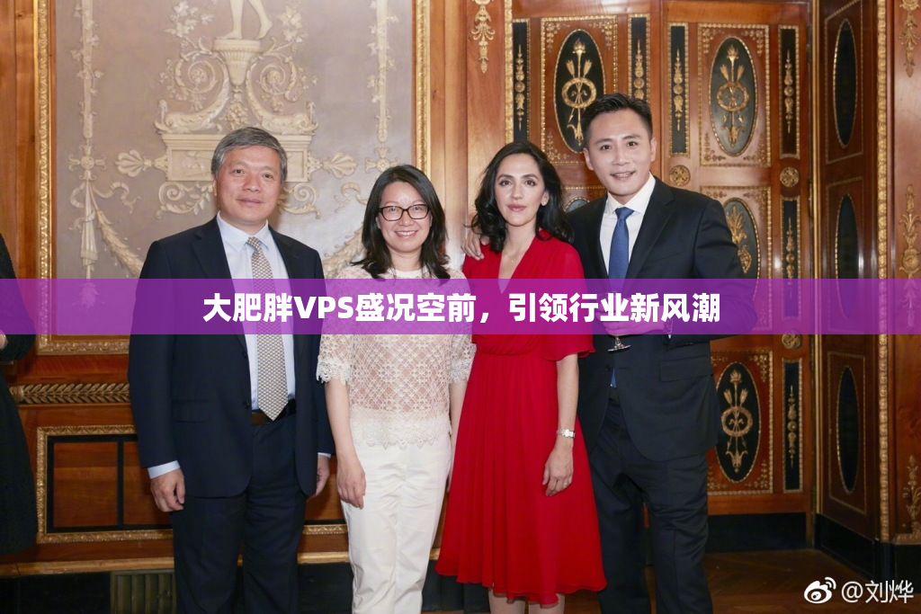 大肥胖VPS盛况空前，引领行业新风潮