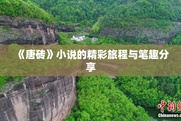 《唐砖》小说的精彩旅程与笔趣分享