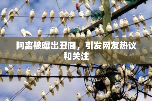 阿离被曝出丑闻，引发网友热议和关注