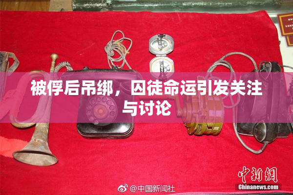 被俘后吊绑，囚徒命运引发关注与讨论