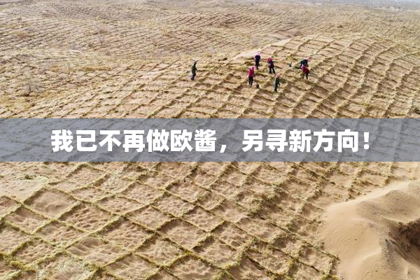 我已不再做欧酱，另寻新方向！