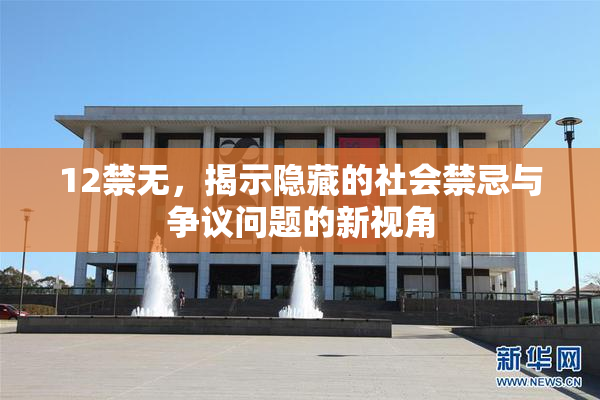 12禁无，揭示隐藏的社会禁忌与争议问题的新视角