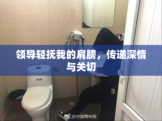 领导轻抚我的肩膀，传递深情与关切