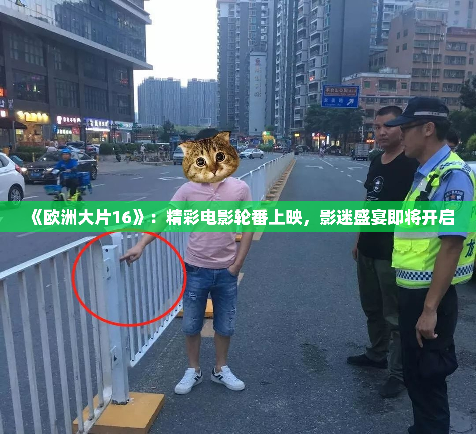 《欧洲大片16》：精彩电影轮番上映，影迷盛宴即将开启