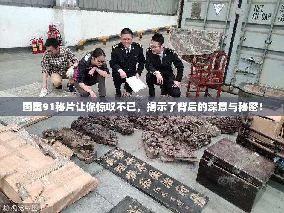 国重91秘片让你惊叹不已，揭示了背后的深意与秘密！