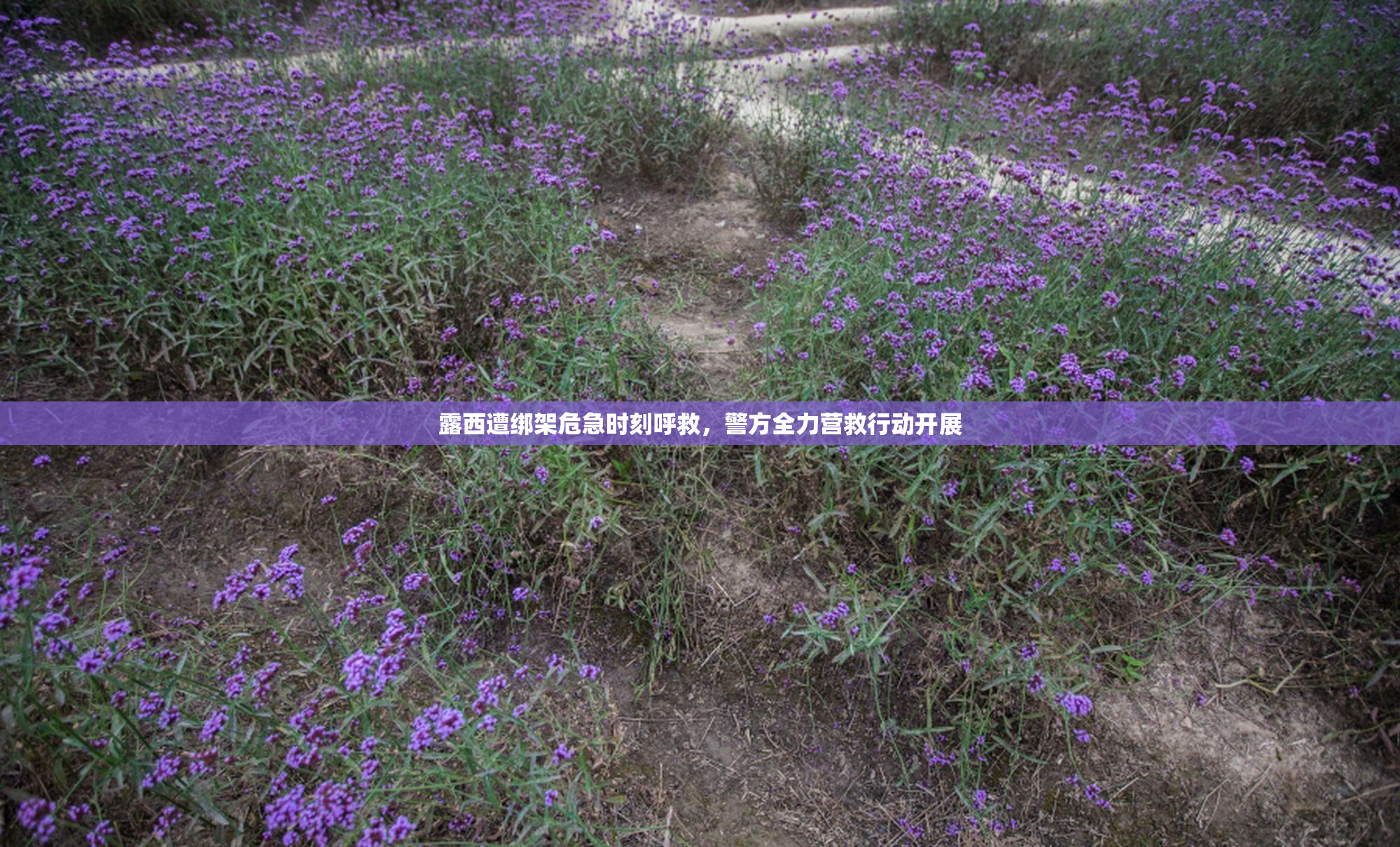 露西遭绑架危急时刻呼救，警方全力营救行动开展