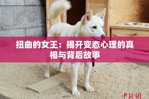 扭曲的女王：揭开变态心理的真相与背后故事