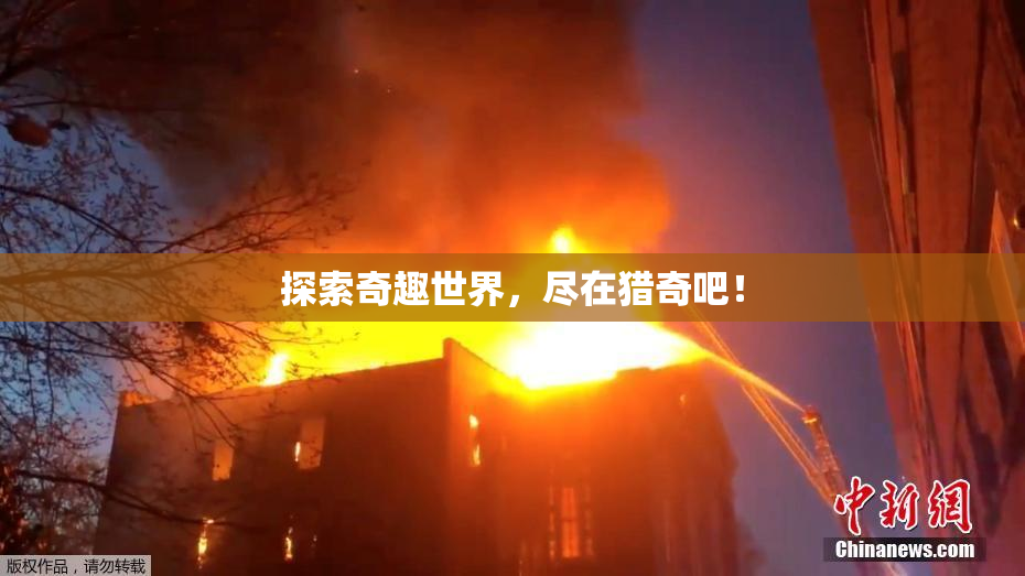 探索奇趣世界，尽在猎奇吧！