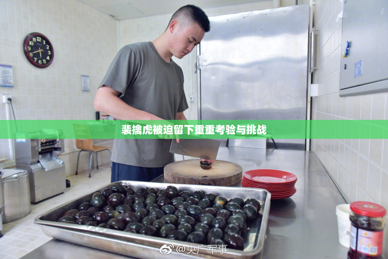 裴擒虎被迫留下重重考验与挑战