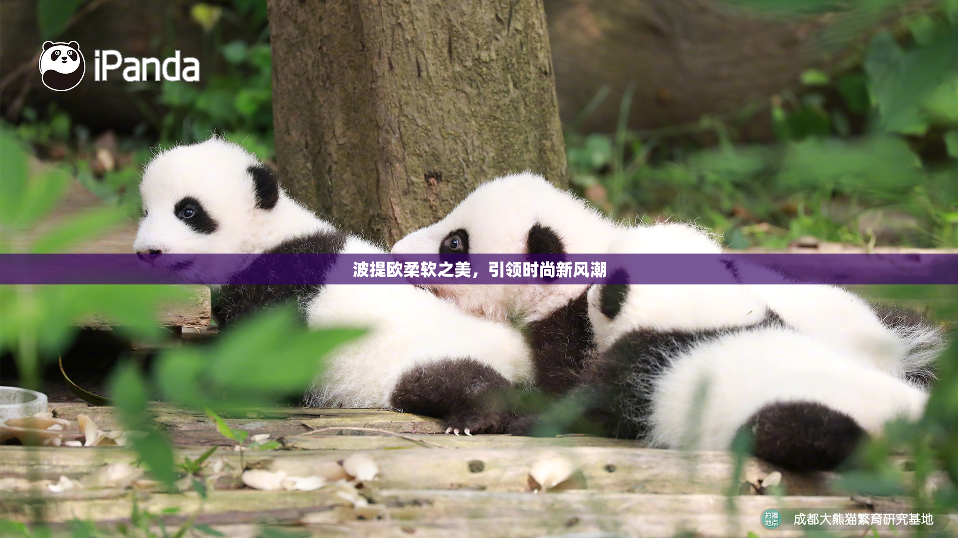 波提欧柔软之美，引领时尚新风潮